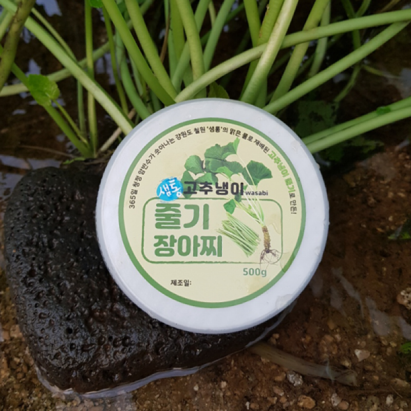 철원몰,철원샘통고추냉이 줄기장아찌 500g